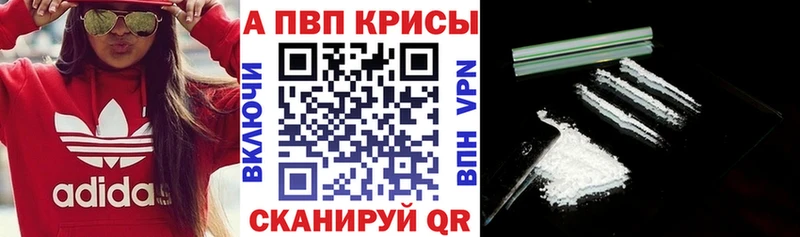 даркнет сайт  Сысерть  Alfa_PVP СК 