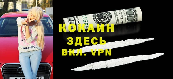 прущие грибы Абинск
